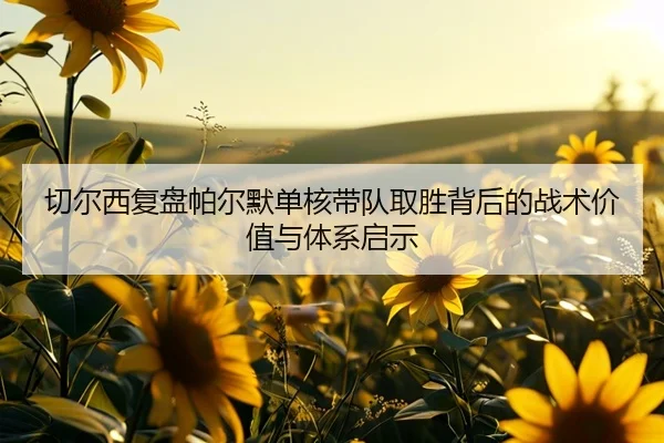 切尔西复盘帕尔默单核带队取胜背后的战术价值与体系启示